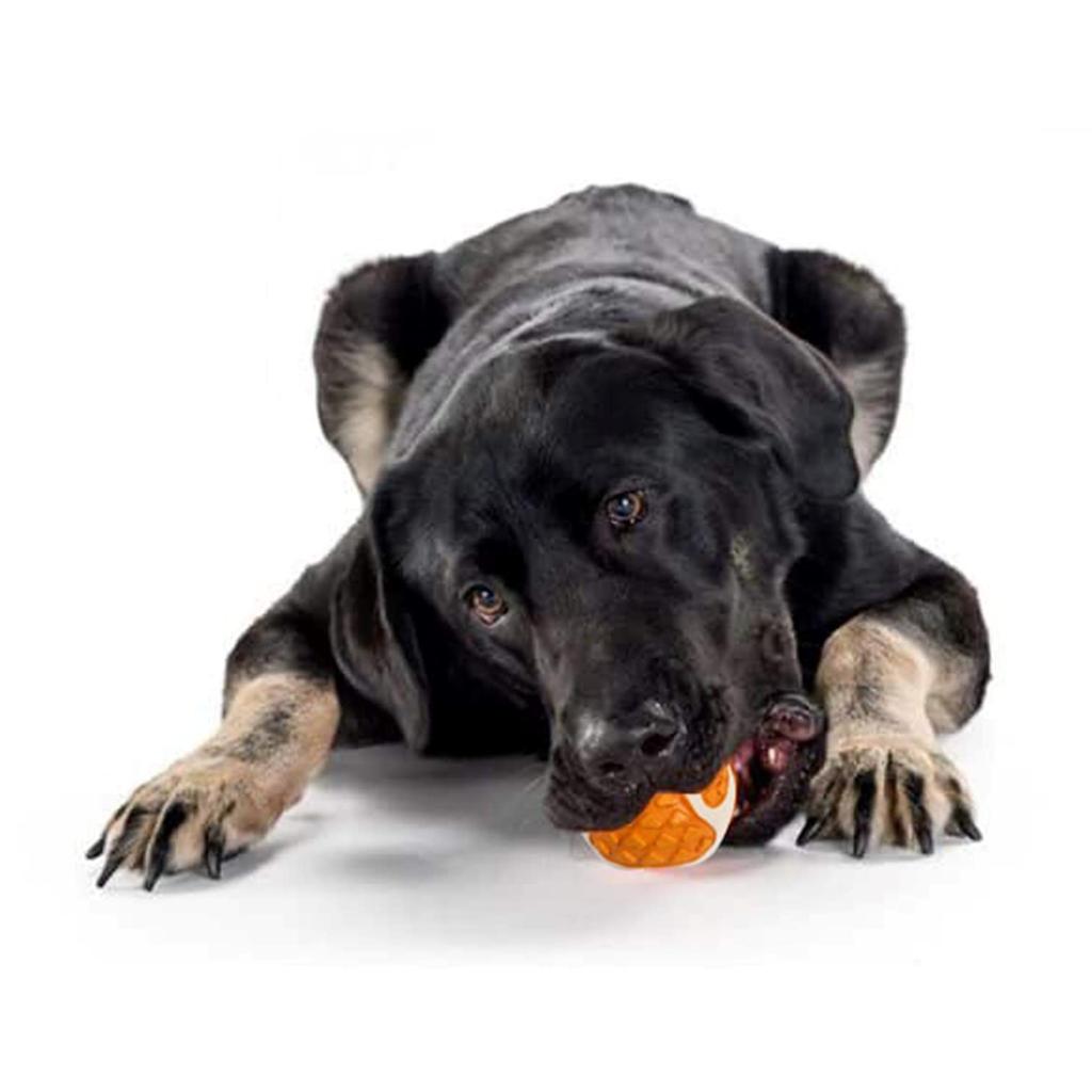 GoFetch Q Ball Dog Toys, 12-Pack