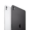 Apple iPad Pro 11-inch (M5, 2025 Model) (CN version)