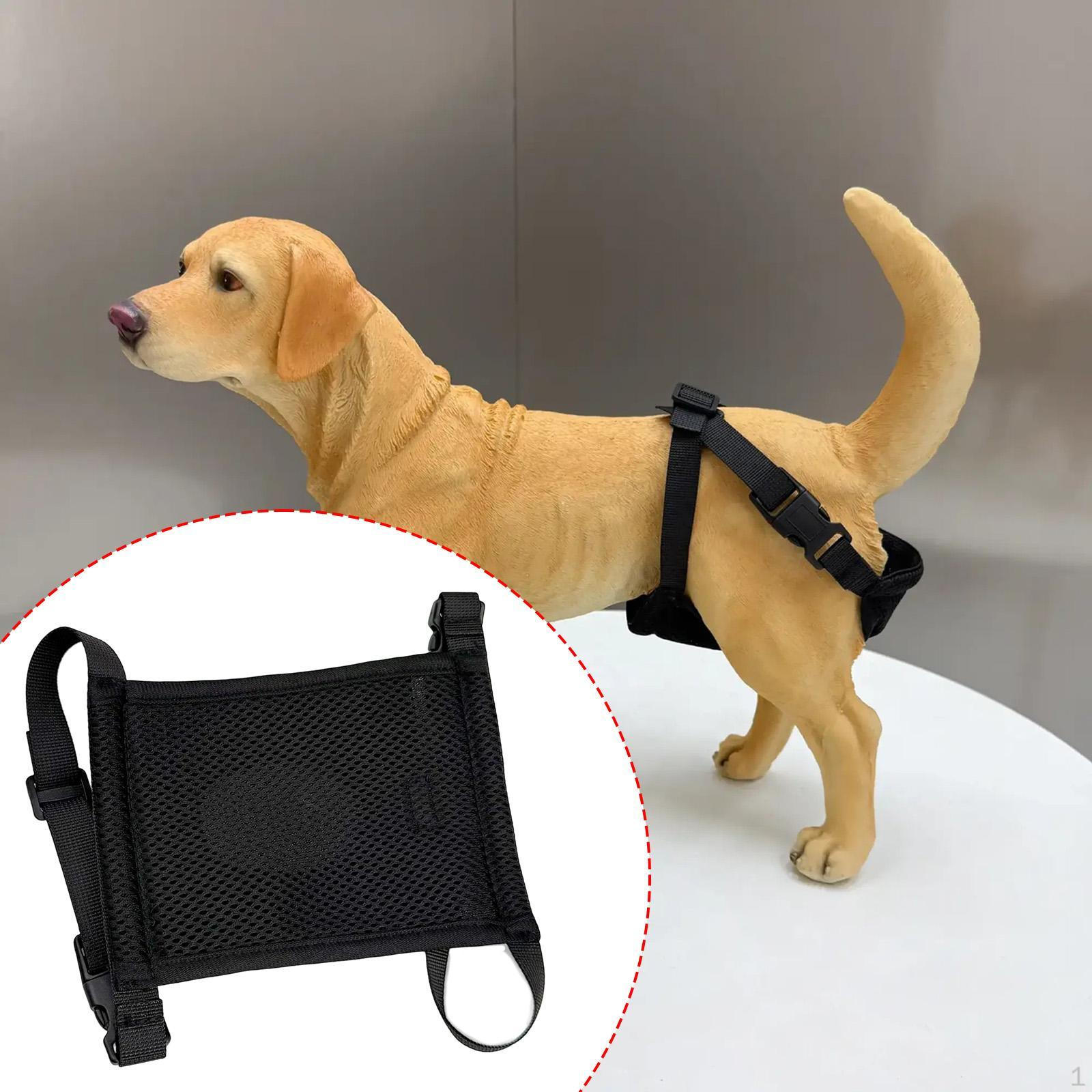 

Female Dog Diaper Period Pants Pet Supplies Doggy Breathable Washable Reusable black XL