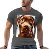 Cutedom Chocolate Labrador In The Snow Tshirt Printed T Shirts For Unisex Cotton Tshirt 100 Tshirt