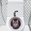 Funny Cat Toilet Lid Decal Waterproof Wc Sticker Removable Self-Adhesive Decor Household Stickers