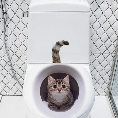 Funny Cat Toilet Lid Decal Waterproof Wc Sticker Removable Self-Adhesive Decor Household Stickers
