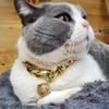 Pet Chain Collars Dog Cat Collar Gold Cuban Link Dog Collar Plastic Gold Dog Chain with  Bell for Puppy Small Medium Large Dogs