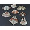 Natural Crazy Lace Agate Matched Pair Fancy Cabachon Gemstone 08Pair Lot C-2768