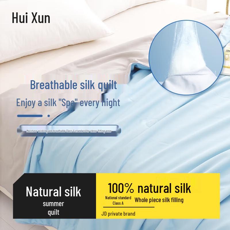 

Huixun 100% Natural Silk Washable Summer Quilt
