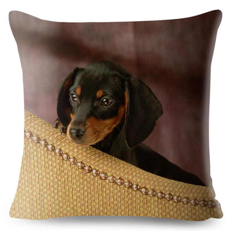 Față de pernă drăguță cu imprimeu câine teckel miniatural, 45*45 pătrată, huse de pernă din in, față de pernă, decor pentru canapea și casă, fețe de pernă