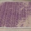 Decorative Special Design Modern Floor Rugs Patterned Non-Slip Base Washable