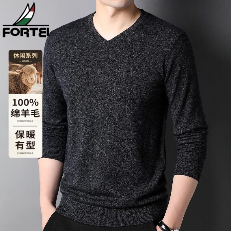 FORTEI Men's 100% Pure Wool V-Neck Pullover Sweater