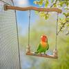 Double Layered Swing Bridge Toy Chewable Parrot Cage Swing Pet Bird Training Toy  Cage Accessories