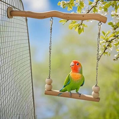 Oiseaux – Jouets pour oiseaux