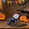 Small Halloween Figurines Desktop Halloween Statue Home Decoration Skeleton Cat Dog Sculpture For Bookshelf Bedside Bookcase