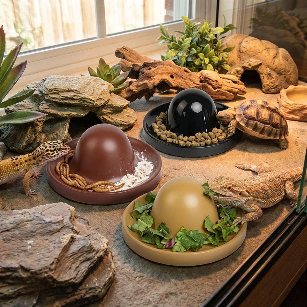 Plastic Reptile Feeder Bowl Round Reptile Water Pot Easy-Clean Feeder Ledge  for Amphibians