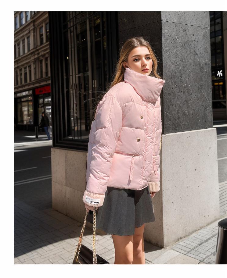 2024 autumn and winter new cotton-padded clothes women's short student lapel cotton-padded clothes thickened loose cotton-padded jackets bread clothes