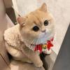 Fluffy Cat Vest Warm Sleeveless Winter Coat Pet Apparel Button Closure Kitten Puppy Outfit for Outing Daily Wear Party Costume Photography