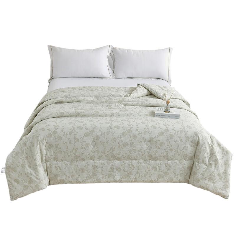 

Jieliya Cloud-Feel All-Season Duvet Insert
