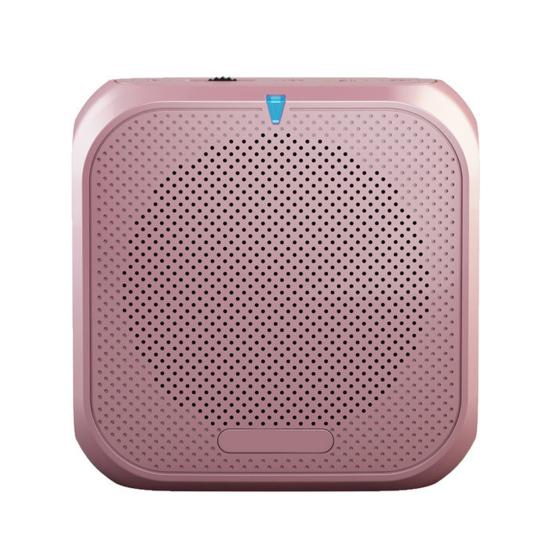 Portable Wireless Voice Amplifier Teachers Meeting Tour Guide Rechargeable PA System Speaker Personal Amplifier