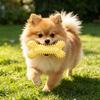 Hundeleckerli-Spender-Spielzeug Stacheliger Knochen Hundekauspielzeug Hundezahnreinigungspielzeug für Welpen Zahnungsangst Linderung