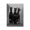 Modern Fashion Doberman Gun Luxury Dog Posters Prints Canvas Painting Nordic Black White Wall Art Pictures for Office Home Decor