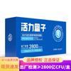 Osteoform Probiotic Lactic Acid Bacteria (40 Billion CFU)
