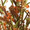 Faux Crepe Paper Flowers Autumn Brown Bouquet Home Decor