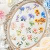 15 ks Kaleidoskopická série Vintage Rostlina Květina Krajina Materiál Koláž PET Nálepka Kreativní DIY Deník Scrapbook Kancelářské potřeby