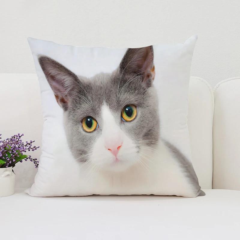 Cute Cat Decorative Pillow Cover 45x45 Cushions Covers Pillowcase 45*45 Bed Pillowcases Cover for Living Room Cushions Cushion