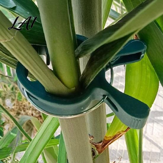 Elastic Plastic Plant Clips 20Pcs Support Clips Gentle Clamps Greenhouse Holders Tomato Cage for Climbing Vines Flowers Stems Professional Clamps
