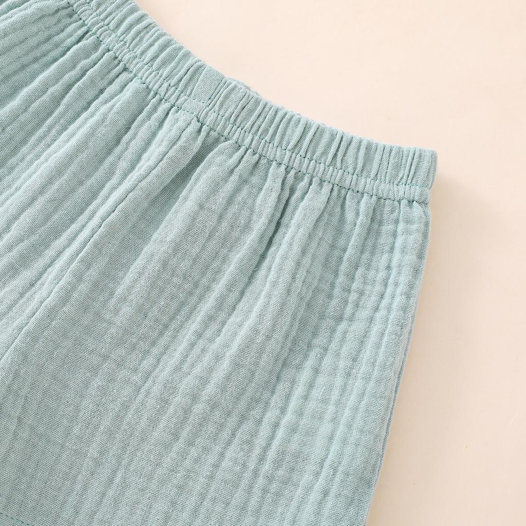 Toddler 2Pcs Summer Outfits, Short Sleeve Button Down Lapel Shirt + Shorts Set Baby Clothes