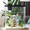 Desktop Small Ecological Fish Tank Landscaping Thickened Office Desk Bucket Fish Tank Integrated Machine Hydroponic Breeding Box
