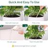 2pcs Clear Glass Plant Watering Globes Rainbow Gradient Self Watering Globes Automatic Plant Waterer Self Watering Planter Insert Spikes Devices