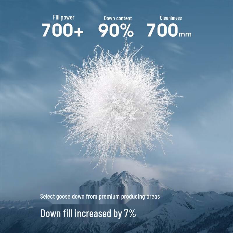 BOSIDENG B250242312 Extreme Cold Hooded Down Jacket