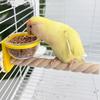 Wear-resistant Bird Cage Feeder Interactive Non-slip Bird Feeding Cup Paw Grinding Bird Perch Stand Pet Bird Supplies