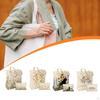 Canvas Tote Bag Grocery Holder for Travel Commuting Summer Work