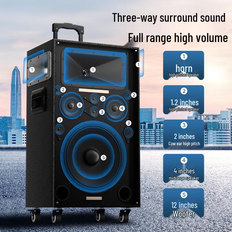 Newman N550 12-inch Outdoor Portable Bluetooth Speaker