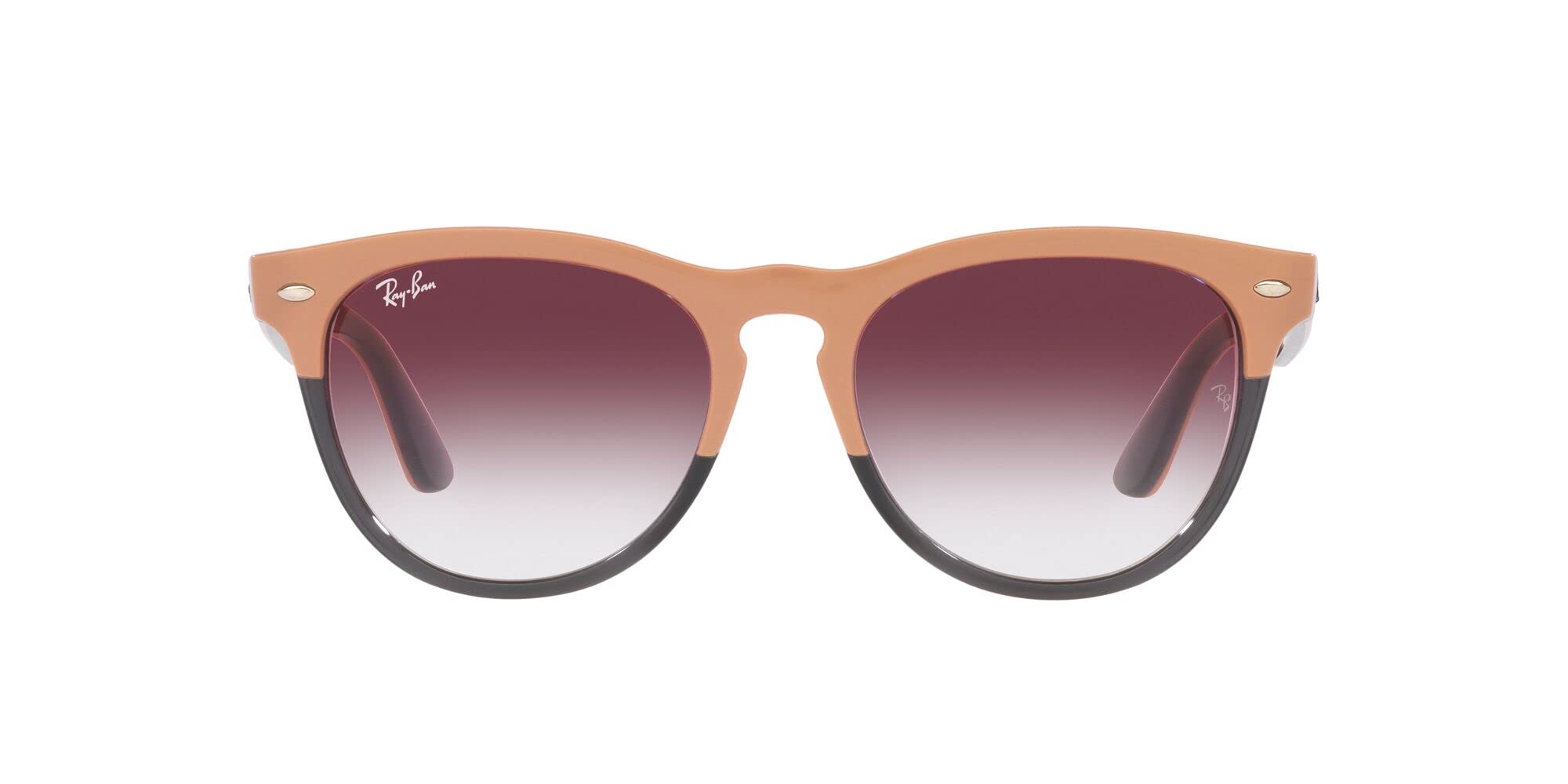 

Sunglasses RB4471 IRIS 66338H BEIGE ON TRANSPARENT GREY 54 [Ray-Ban]