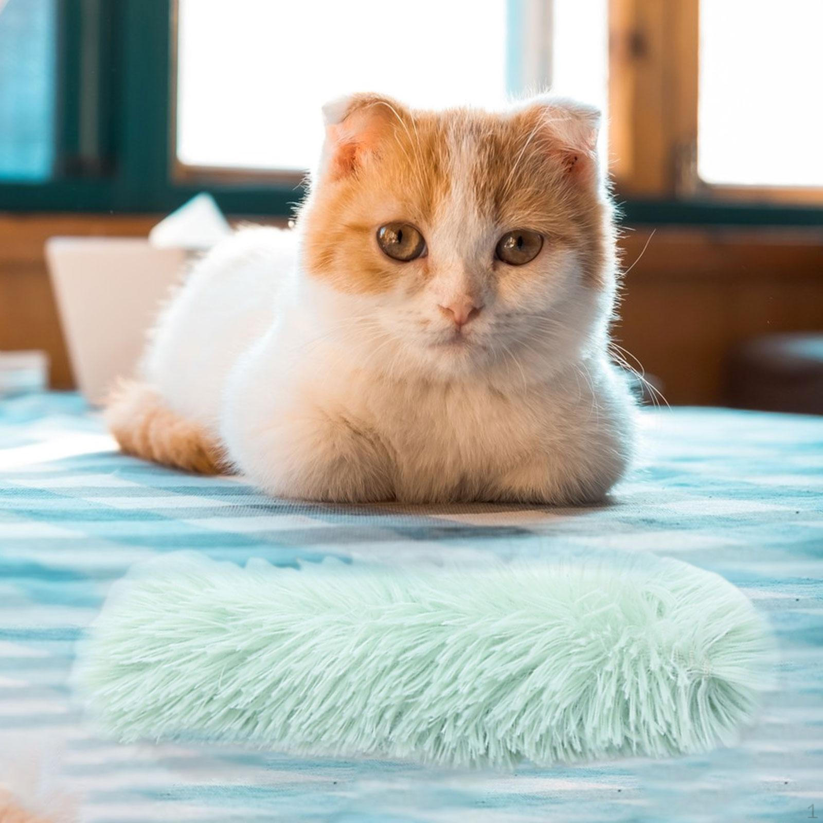 

Кошачьи игрушки с кошачьей мятой для домашних кошек, Мягкие и прочные подушки-игрушки, Интерактивные пиналки, Шуршащие зелёный
