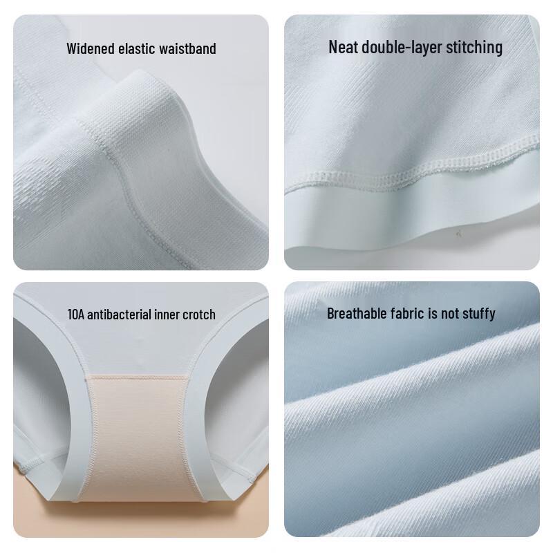 MIIOW Women's Camellia Clean Modal Antibacterial Briefs (3-Pack)