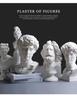 David Head Bust: Plaster Sculpture for Art Students & Teaching Aids