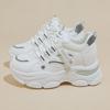 Small dad shoes women's versatile fried street 2025 new spring and autumn platform casual shoes Internet celebrity explosion