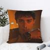 Will Byers  Pillowcases Merch Soft Cushion Cover  Throw Pillow Cover Living Room Decor Zippered Multi Size