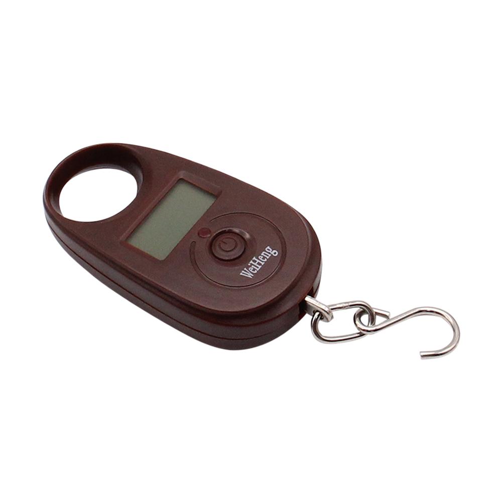 25kg x 5g Portable Hanging Scale Mini Digital Scale for Fishing Luggage Travel Weighting Keychain Electronic Scale with Hook