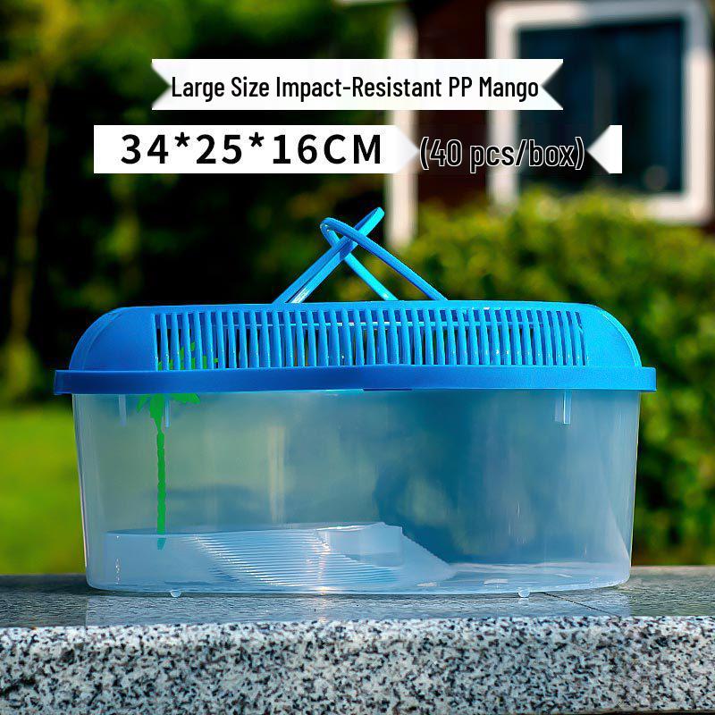 Compact Transparent Plastic Fish & Turtle Tank with Climbing Platform
