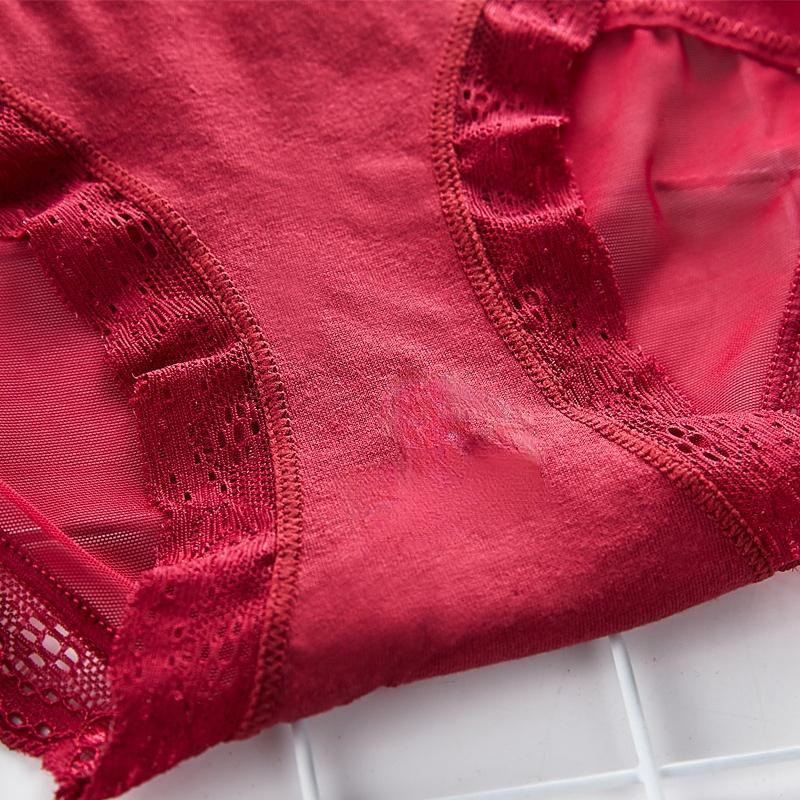 FF3127 See Through Sexy Cheeky Lingerie Women's Underwear Bow Lace Hipster Panty Brief Girls Ladies Panties Lace Women Panties