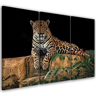 Dreiteiliger Leinwanddruck Leopard Panther Katze Tier