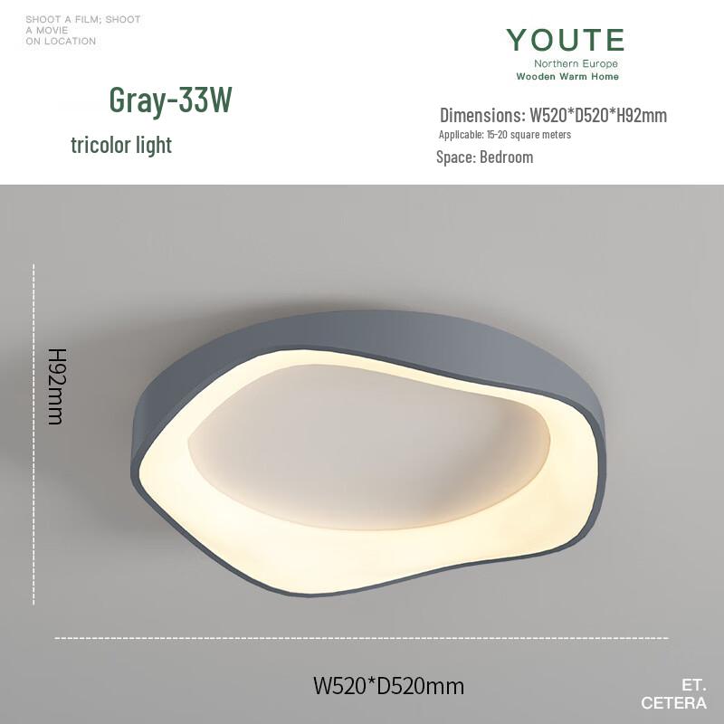 Modern LED Dimmable Ceiling Lamp