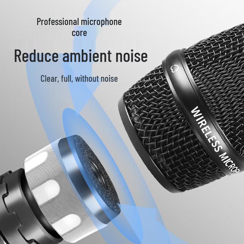 Huachang HC-WX204S True Diversity Wireless Handheld Microphone System (CN version)