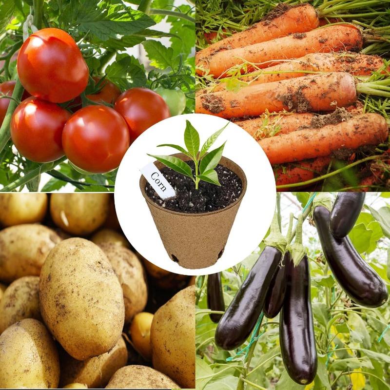 50PCS Degradable Seedling Pot, Peat Pot for Seedling with 20 Plant Labels, Seedling Pot with Drain Hole for Sowing