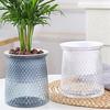 Mini Self Watering Flower Pot Fish Tank Transparent Plastic Plant Pots Self Watering Planter Pot Vase For Home Decoration