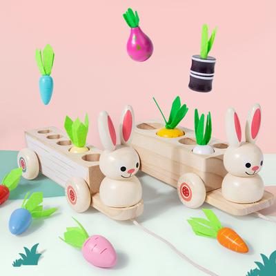 Children's Rabbit Pulling Carrot Two-in-One Wooden Pairing Creative Educational Early Education Wooden Toys