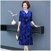 Women's Autumn Long-Sleeved Elegant Dress Mid-Waist V-Neck A-Line Skirt